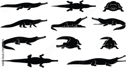 Black crocodile and alligator silhouettes set featuring various predatory reptile poses including swimming walking and resting with open jaws