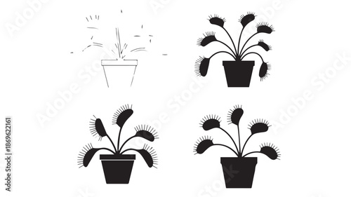 A series of potted plants in various stages of illustration refinement from line art to shaded graphic representations