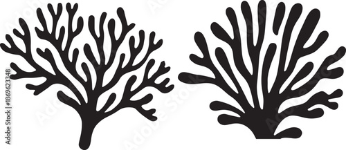 Hand drawn coral reef illustration isolated on transparent background