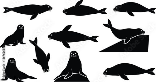 Black seal and sea lion silhouettes set featuring marine mammals in various poses including swimming resting and looking forward isolated on white