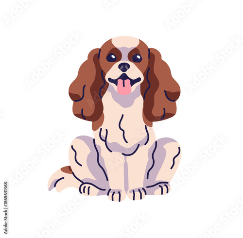 Cavalier King Charles Spaniel front view. Toy dog sits with sticking tongue. Fluffy puppy with happy muzzle. Cute pup, funny pet, domestic animal. Flat isolated vector illustration on white background