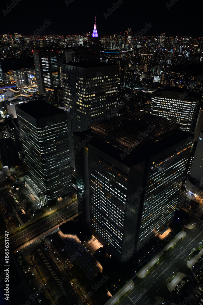 Obraz premium Tokyo Night Skyline from Metropolitan Government Building