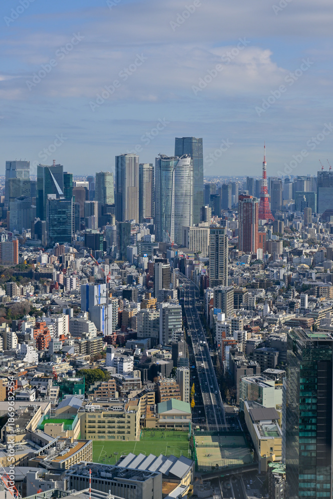 Obraz premium Tokyo Cityscape from Shibuya Sky Rooftop Observation Deck