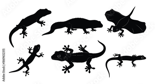 Silhouette collection of various lizard poses in black and white illustration