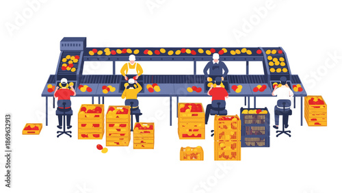 Multiple workers meticulously sorting and packing a variety of fresh fruits, including apples, oranges, and mangoes, along a long production line with many boxes.