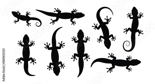 Silhouette collection of various lizard poses in black and white illustration