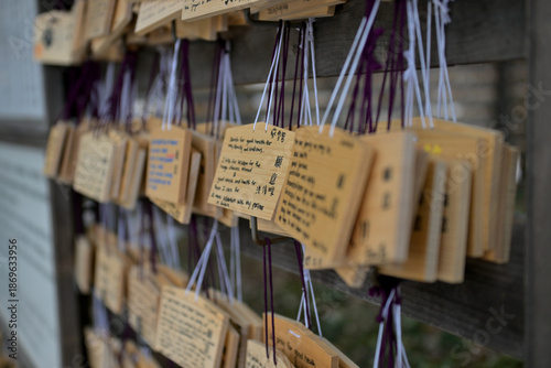 Canvas Print Wish boards at Meiji Jingu Shrine in Tokyo, Japan