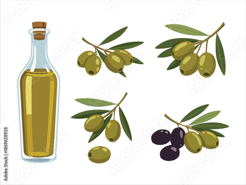 Olive Oil Bottle with Fresh Olives on Branches Illustration