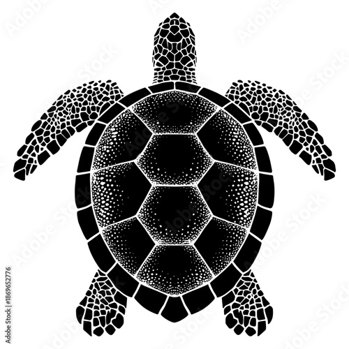 Turtle swimming in ocean water with coral background during daytime