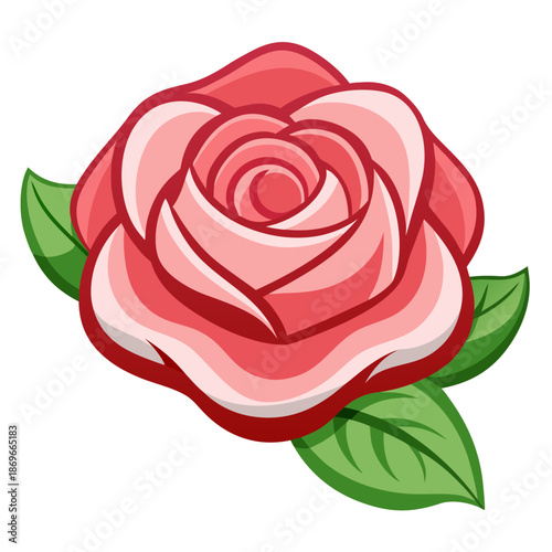 Vibrant pink rose with lush green leaves on white background