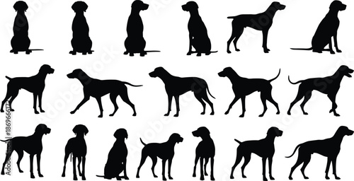 Dog Silhouette Collection, Pet Animal Vector Icons, Black Pointer Hound Shapes, Standing and Sitting Dogs, Canine Fitness Graphics, Domestic Animal Elements, Hunting
