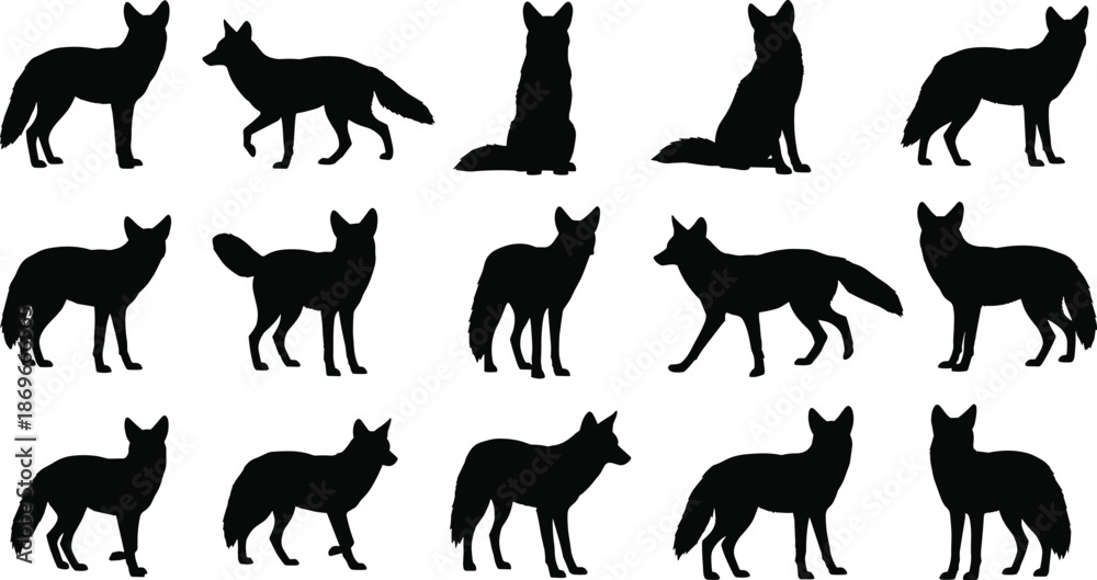 Fototapeta premium Fox Silhouette Collection, Wild Animal Vector Set, Black Vulpes Icons, Predator Shapes, Standing and Sitting Foxes, Wildlife Graphic Design Elements