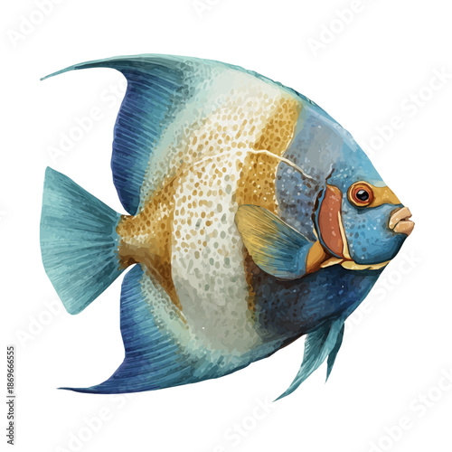 A watercolor painting of Angelfish Head, vector illustration on white background.