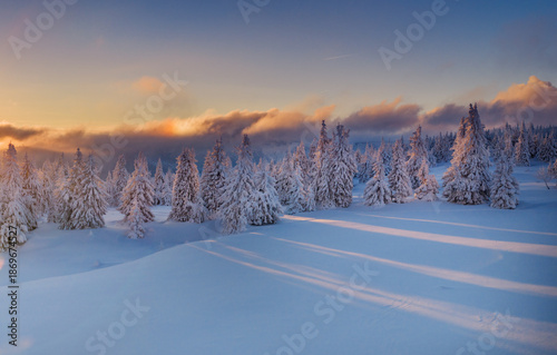 Beautiful Winter Mountain P...
