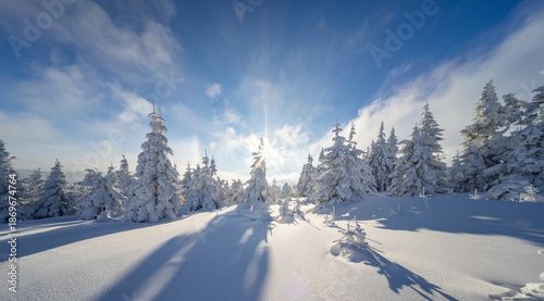 Beautiful Winter Mountain P...