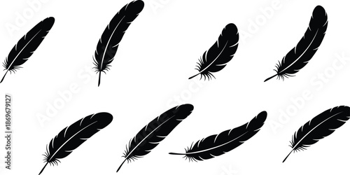 Black feather silhouettes vector set, isolated bird plumes, decorative quill shapes, elegant design elements for graphic art projects