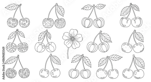 Various styles of cherry line art illustrations including some with intricate patterns and others with simple outlines.