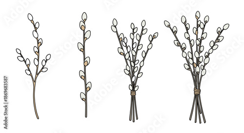 Several bunches of willow branches with soft white buds tied together with string for traditional spring and Easter decor.