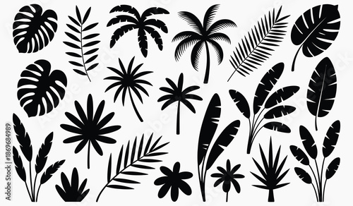 Tropical leaf and palm tree silhouettes