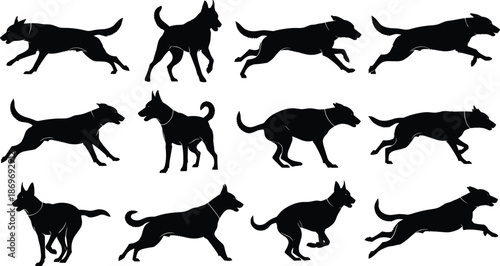 Dog Silhouette Collection Showing Running, Walking, and Standing Poses, Dynamic Canine Motion Vector Set for Pet Design, Animal Animation, Sports, and Graphic Projects