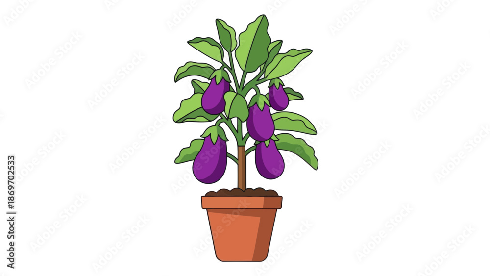 Obraz premium Eggplant plant in pot illustration
