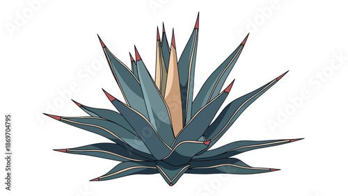 Agave Plant Illustration, Desert Flora