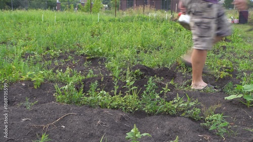 A grown man in a straw hat works in a vegetable garden. Harvesting. Potatoes. Land plot. Outdoors. Rural life. Summer. Farmer