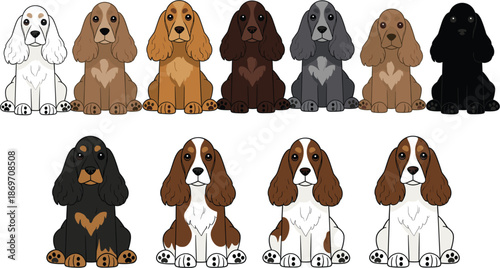 Adorable cartoon Cavalier King Charles Spaniel dog vector illustration sitting isolated on white background for pet lovers and kids.