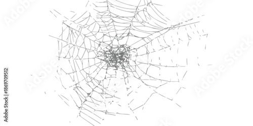 A detailed spider web illustration with intricate lines on a white background