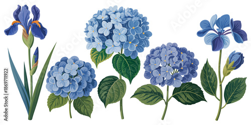 Beautiful collection of blue flowers, including iris, hydrangeas, and other vibrant blossoms