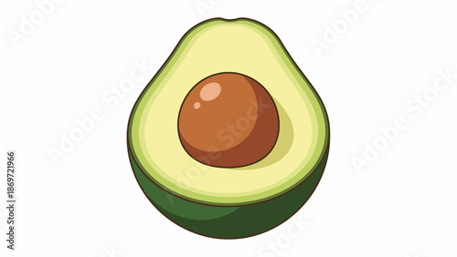 Avocado illustration with pit on white background vector graphic