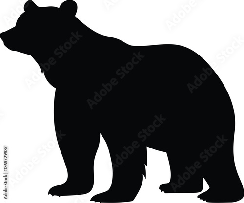 Majestic wild bear walking through its natural habitat in a powerful stance silhouette