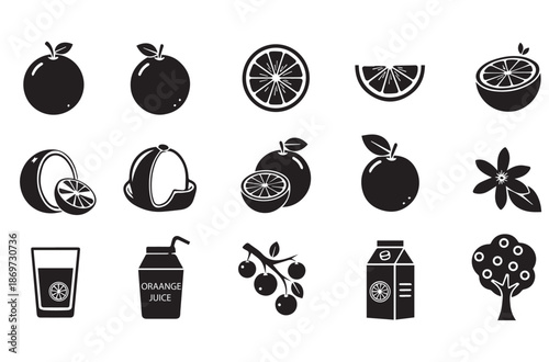 Orange Fruit Icon Set: Black Silhouette Vector Citrus, Juice Box, Orange Tree, and Blossom Icons