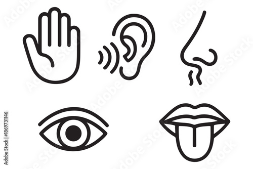 Human senses icon set. Vision eye, smell nose, hearing ear, touch hand, taste mouth with tongue. Simple line icons in black. Five senses of human nervous system