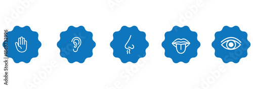 Five human senses icons, sensory perception, flat vector illustration, hearing smell taste touch vision, educational design, biology concept, awareness theme