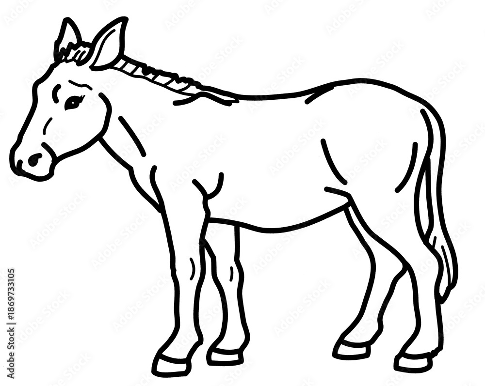 Obraz premium Coloring for children and adults, coloring of the animal world, donkey.