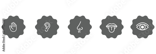 Five human senses icons, sensory perception, flat vector illustration, hearing smell taste touch vision, educational design, biology concept, awareness theme
