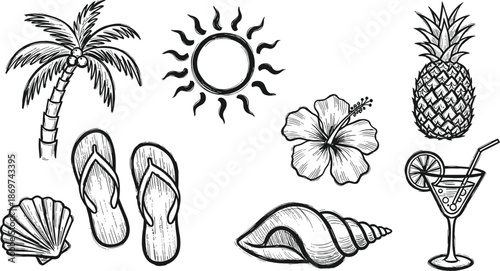 Hand Drawn Tropical Botanical Palm Leaves And Toucan Illustration Set