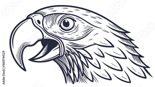 Detailed illustration of a parrot's head with open beak and expressive eye