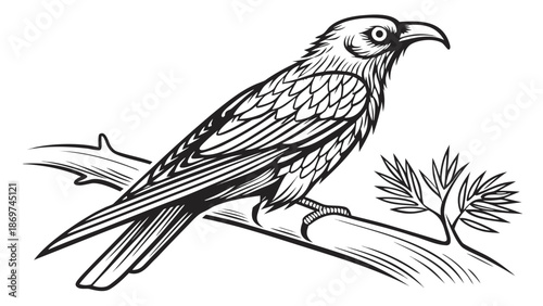 Majestic bird perched on tree branch with leaves, wildlife illustration