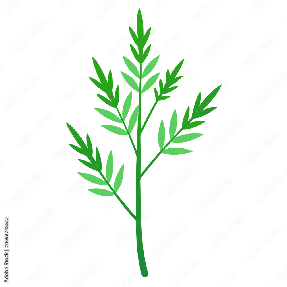 Naklejka premium artemisia ludoviciana flower vector on white