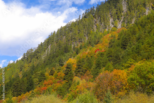 Fotografie Vibrant autumn landscape with forested mountain slope showcasing mix of green, orange, and red foliage under partly cloudy sky