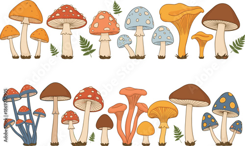 Colorful forest mushroom illustration set with different wild fungi species toadstools and woodland botanical elements vector