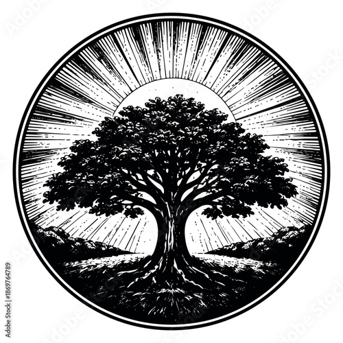 Engraving style illustration of a majestic tree within a circular frame depicting a sunrise and rooted growth for environmental and natural themes