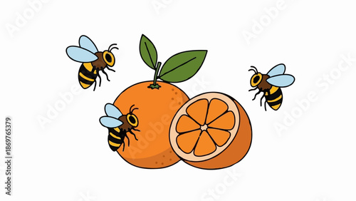 Three bees buzz around a whole and a halved orange with leaves