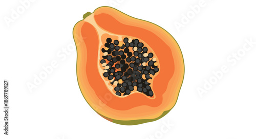 Half of a ripe orange papaya fruit shows the inner cavity filled with black seeds in a colorful and realistic botanical style.