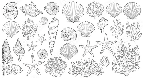 Detailed line art collection of various sea shells and coral pieces showcases the incredible marine life diversity in monochrome.