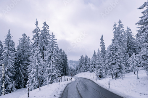 Nasse Fahrbahn durch einen winterlichen Wald