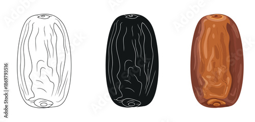 Date Seeds Vector Set in Three Styles — Line Art, Silhouette and Color Version for Islamic Design, App UI, Posters and Branding	