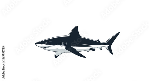 A realistic and powerful illustration of a great white shark swimming, captured in a clean and bold two-tone vector art style.